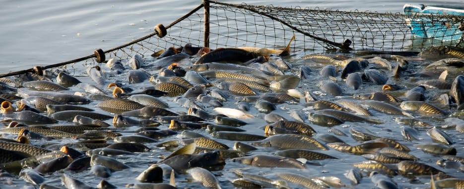lugares pesca en valencia
